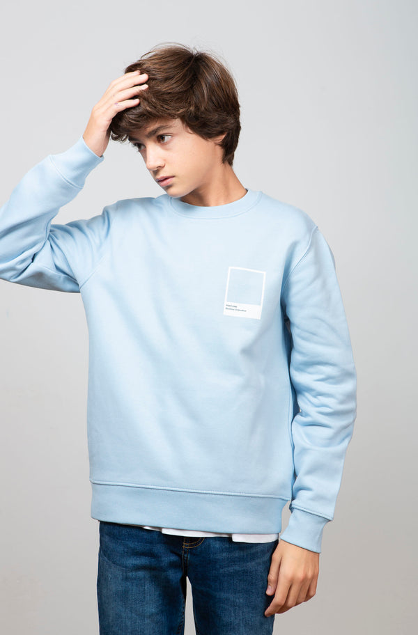 Blue Pantone sweatshirt