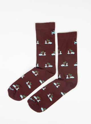 Calcetines Granates Perro Motero - BLUEBLUE CHIHUAHUA