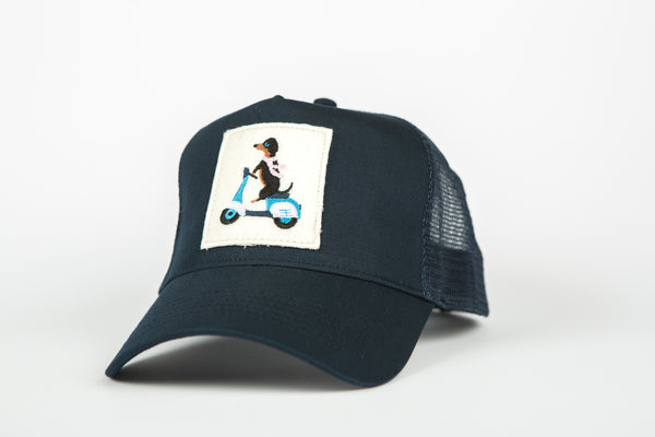 Blue Bike Dog Hat